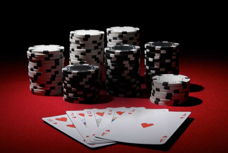 Online Casino Platforms